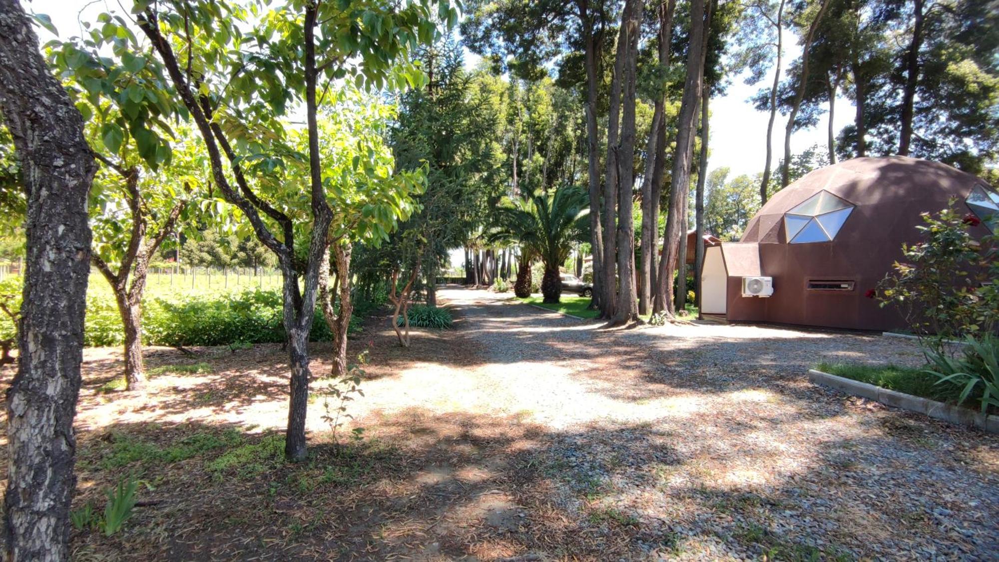 Casa de férias Araucarias Negrete